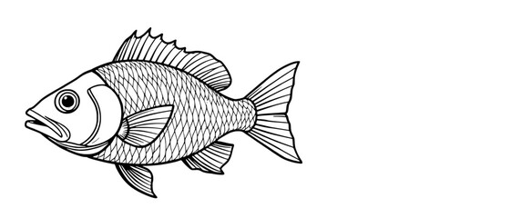 a black and white drawing of a perch fish on a white background. The fish is depicted in great detail, with its scales, fins, and eyes clearly visible