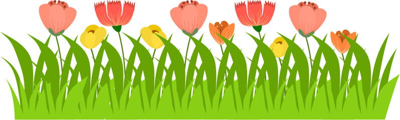 yard flower background