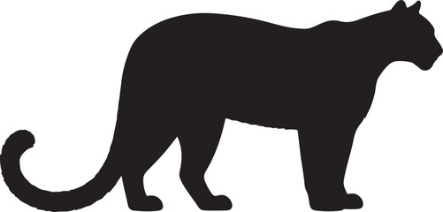  Costa Rican cougar in silhouette pure white background.