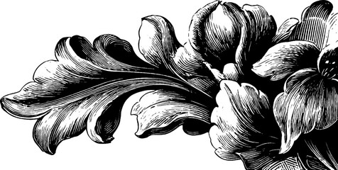 Art nouveau ornaments with flowing floral curves for design and decoration