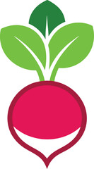 plant leaf nature organic food