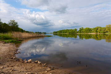 Frühjahr an der Elbe im Jerichower Land