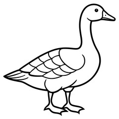 Obraz premium Minimalist Snow Goose Vector
