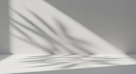 Soft Light and Shadow Overlay Elegant Minimalist Background