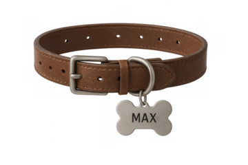 Brown leather dog collar with personalized name tag featuring the name max, isolated on transparent background