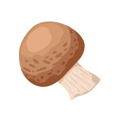 Brown cap single mushroom. Whole mushroom isolated on white. Hand drawn vector simple flat food illustration for ingredient visuals, cooking design, packaging, recipes, product decor, stickers