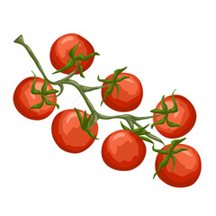 Hand drawn cherry tomatoes on vine. Vector food illustration on white background for culinary design, diet visuals, packaging, market scenes, stickers and organic food products