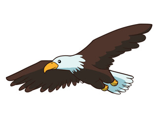eagle in flight