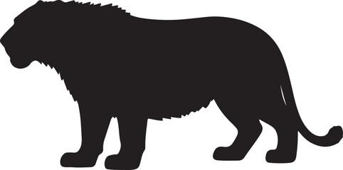 European cave lion in silhouette purw white.