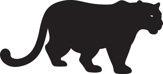 European jaguar in silhouette purw white background.