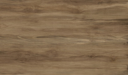 Seamless Natural Wood Texture Background. Perfect for interior design, wallpaper, packaging,...