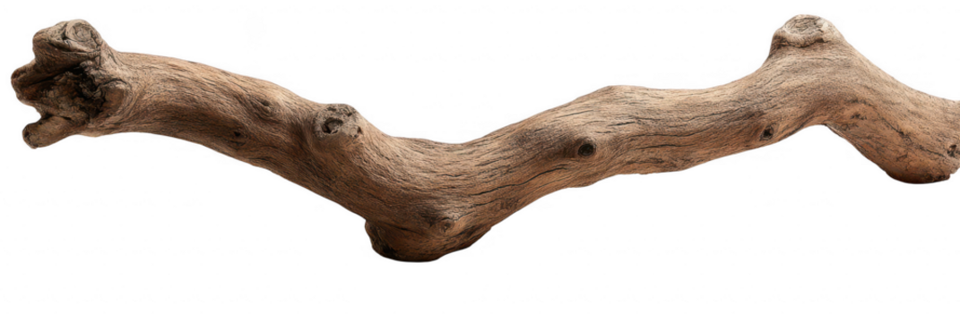 Driftwood branch, curved, light brown
