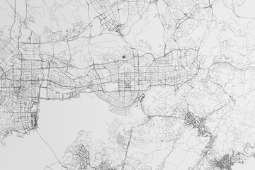 Obraz premium Map of the streets of Shenzhen (China) on white background. 3d render, illustration