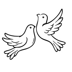 Hochzeitstauben Friedenstauben 