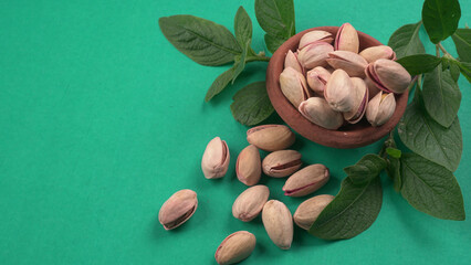 Pistachios or Pista nuts decorated with green leaves. plain background, top view.Flat lay.