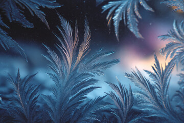 Frost patterns on window glass in cold winter light