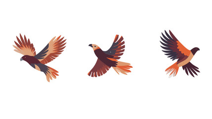 Fototapeta premium Eagle Vector Graphic Design – Majestic Bird of Prey Illustration