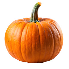Obraz premium Fresh Orange Pumpkin Isolated on White Background