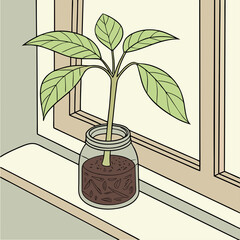 A plant with green leaves growing in a glass jar placed on a windowsill near a window frame indoor