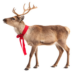 An adorable cartoon reindeer with a festive red bow, a Christmas symbol isolated on a transparent background png