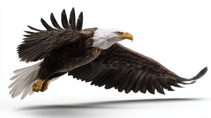 A bald eagle is flying in the air