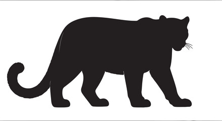 Venezuelan cougar in silhouette.