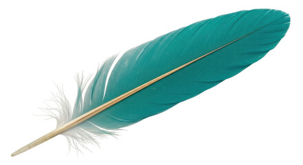 Isolated Teal Feather