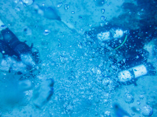 Scuba Divers Exploring the Underwater World of Loutraki, Greece, Surrounded by Rising Air Bubbles...