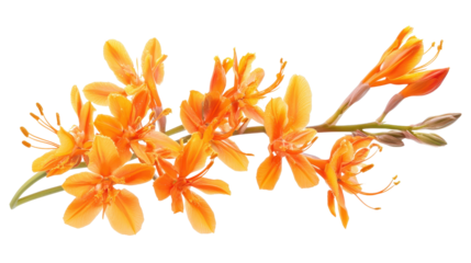 Open binder with colorful dividers and paper, Transparent background, PNG file