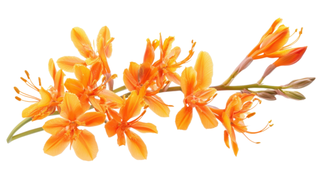 Open binder with colorful dividers and paper, Transparent background, PNG file