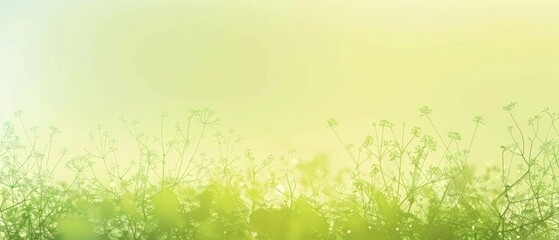 Obraz premium Spring Meadow Gradient Soft green grass meadow spring light yellow field low border wallpaper.