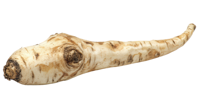 Palm tree with tropical leaves, Transparent background, PNG file, summer vibe