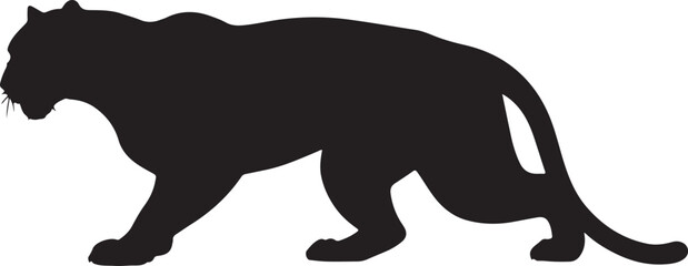 Ghost Panther in silhouette purw white background. 