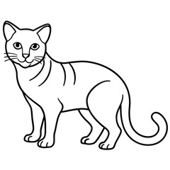 Sand Cat Line Art on White