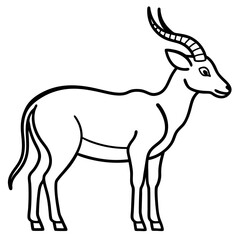 Saola Sketch Vector White