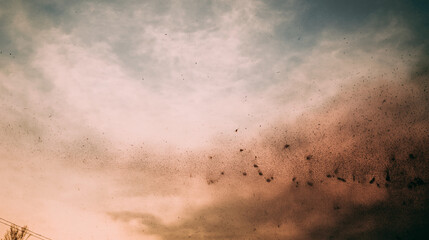 Fototapeta premium Toxic particles spreading through the sky, a hazy sunset backdrop, air pollution threat.