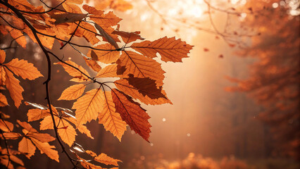 Warm sunlight filtering through a canopy of golden autumn leaves creates a magical, misty atmosphere in the forest, highlighting the vibrant colors of fall and nature's beauty