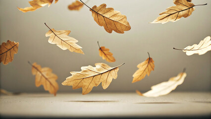 Dry oak leaves gently falling and swirling against a neutral background, creating a poetic atmosphere of autumn. Colors of golden brown enhance the seasonal beauty and tranquility