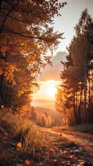 Warm sunlight filters through colorful leaves and misty fog, creating a serene autumn forest scene at sunset, with a dirt road winding through the trees