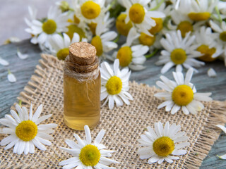 A small glass bottle with chamomile essential oil on an old wooden background.