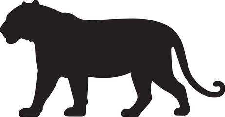 Malayan Tiger in silhouette purw white background.