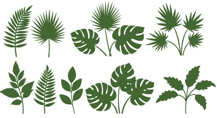 Tropical leaves vector illustration for nature-themed design projects in flat style