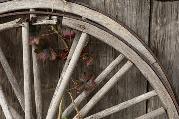 Vintage wagon wheel with vine