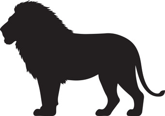 Maneless lion in silhouette purw white background.