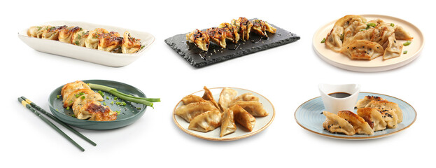 Tasty fried gyoza (dumplings) on white background, collage