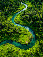A winding river through lush tropical rainforest