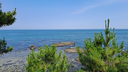 Columnar Joints on Gampo Coastline in Gyeongju, South Korea
