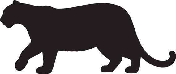 Peruvian cougar in silhouette purw white background.