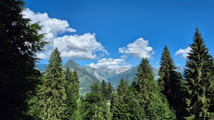Oberstdorf Allgäuer Hochalpen serene mountain landscape with lush green trees and vibrant blue sky...