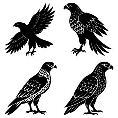 Four stylized black and white drawings of eagles in different poses on a white background art drawing